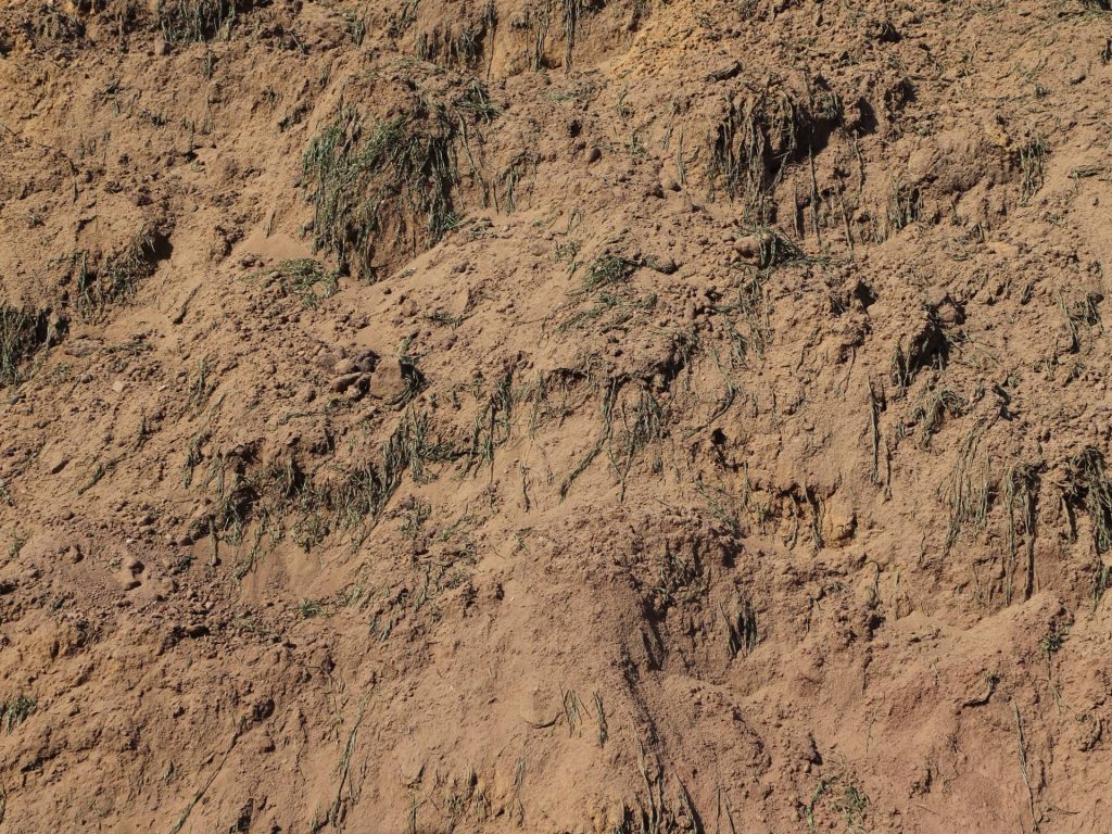 Erde und Mutterboden